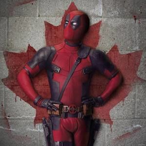 Meet your Posher, Danny